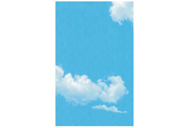 11-蓝天白云-全屋整装碳晶板集成墙面效果图