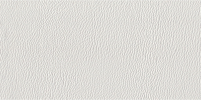 法国白皮纹-全屋整装蜂窝大板抗菌吊顶效果图